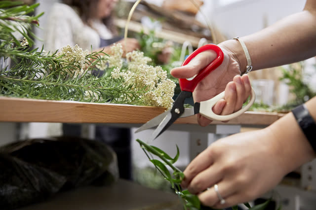 Hands trimming a flower stem with clean red-handled scissors at a Fig and Bloom workshop